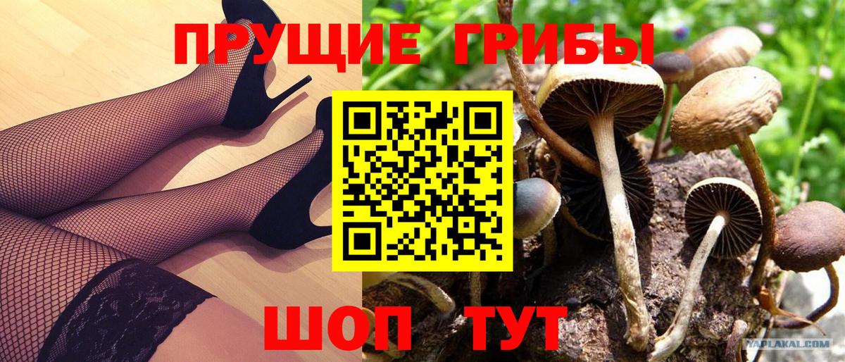 Псилоцибиновые грибы прущие грибы Кемерово