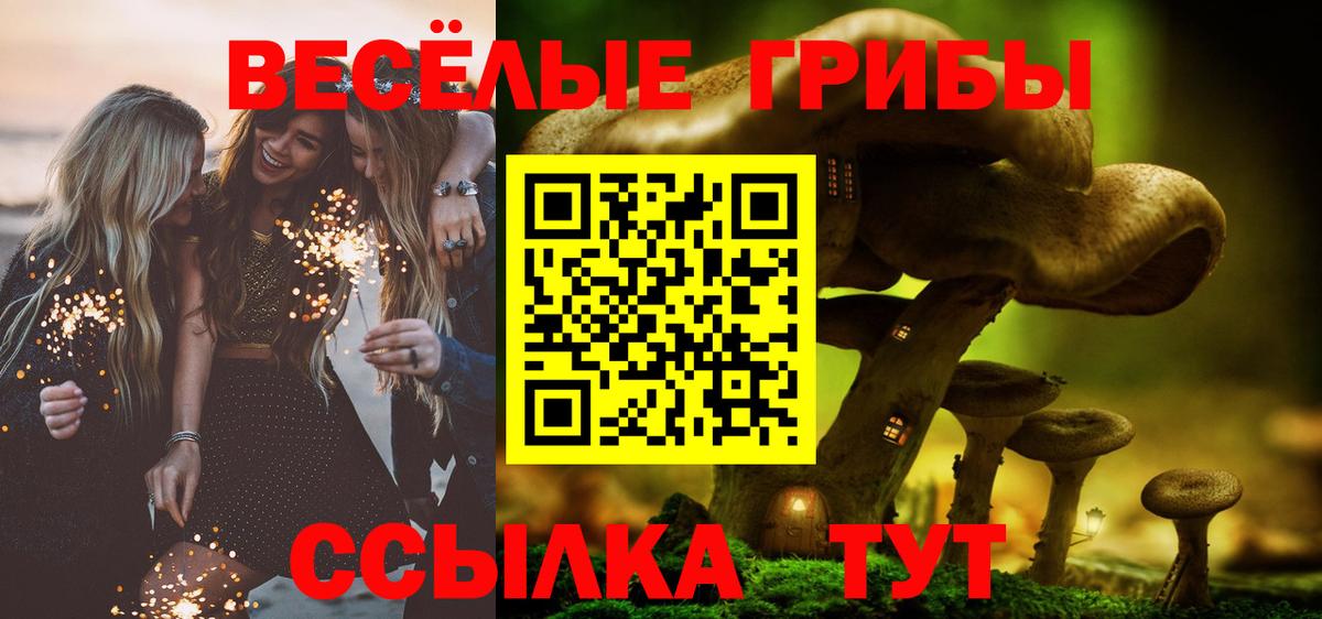 цены наркотик  Псилоцибиновые грибы Psilocybine cubensis  Вход с VPN  Кемерово 